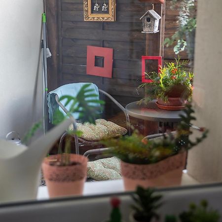 Apartament U Olechny 4 Bydhošť Exteriér fotografie