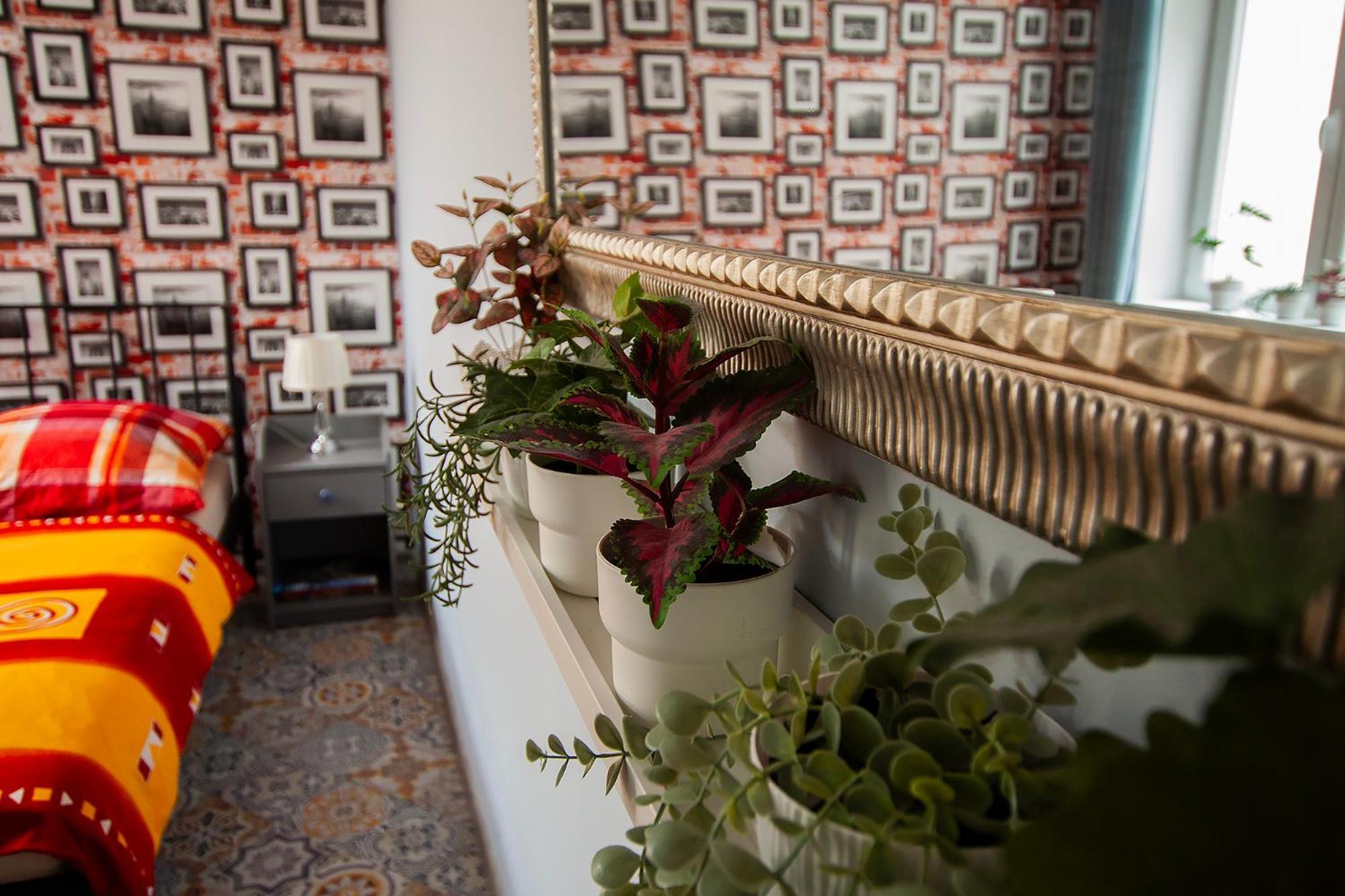 Apartament U Olechny 4 Bydhošť Exteriér fotografie